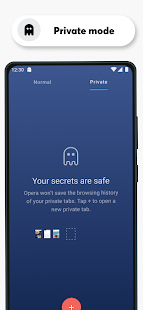 Opera Browser Fast amp Private Varies with device screenshots 4
